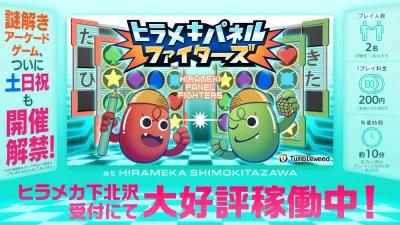 ヒラメキパネルファイターズ poster1